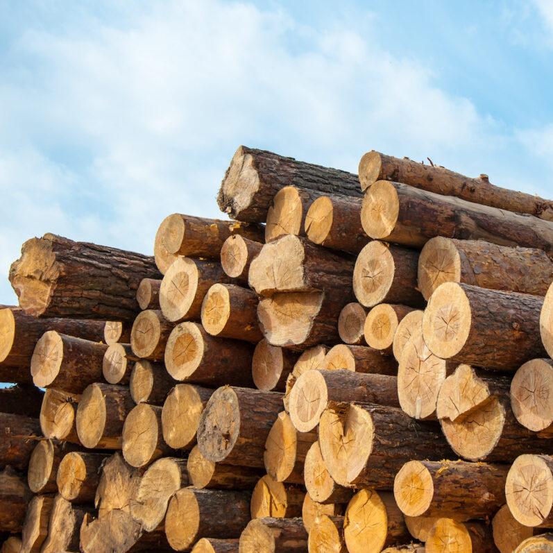 repairing swollen bathroom cabinet door