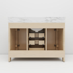 Canyon 48" Freestanding Single Sink Bathroom Vanity with 4-Drawer Design